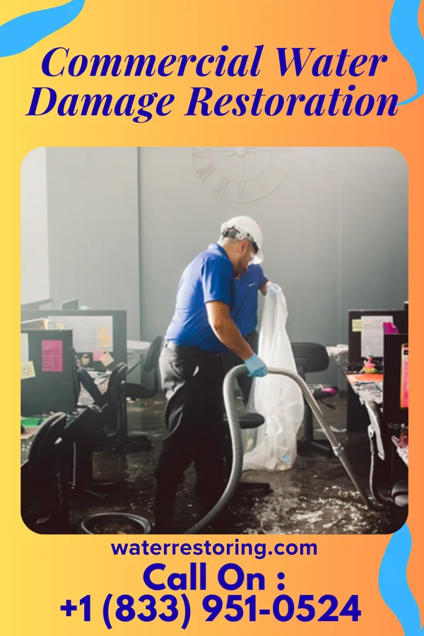 Commercial Water Damage Restoration in Kingsbury, NV
