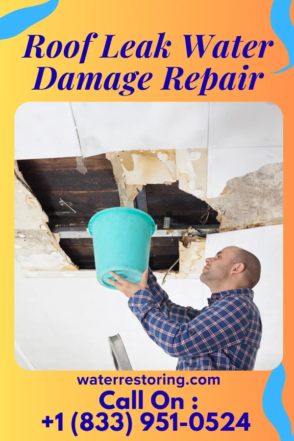 Roof Leak Water Damage Repair in Kingsbury, NV
